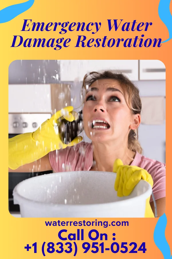 Emergency Water Damage Restoration in Sulligent, AL